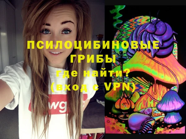 PSILOCYBIN Белоозёрский